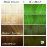 Arcric Fox Iris Green