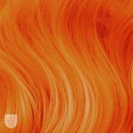 Arctic Fox Sunset Orange