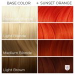 Arctic Fox Sunset Orange