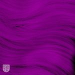 Arctic Fox Violet Dream