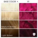 Arctic Fox Arcane Vi