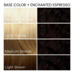 Arctic Fox Enchanted Espresso