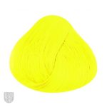 Directions Bright Daffodil