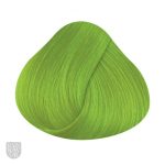 Directions Fluorescent Green