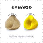 Kamaleão Color Canary (Canário)