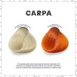 Kamaleão Color Carp (Carpa)