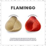 Kamaleão Color Flamingo