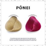 Kamaleão Color Pony (Ponei)